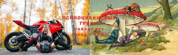 каннабис Зерноград