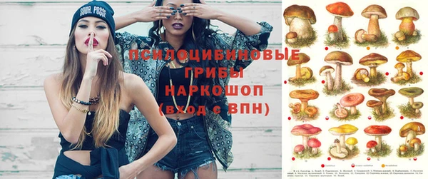 каннабис Зерноград