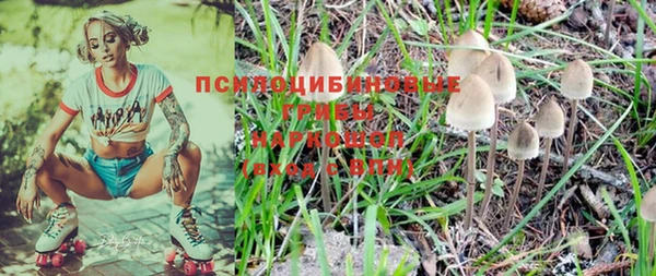 дмт Зеленодольск