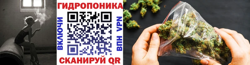 Конопля конопля Назрань